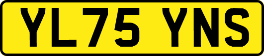 YL75YNS
