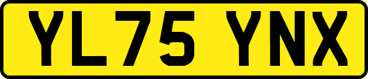 YL75YNX