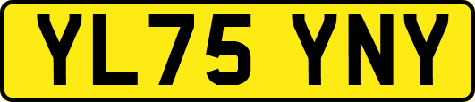 YL75YNY