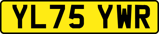 YL75YWR