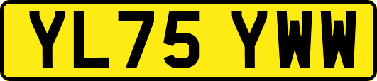 YL75YWW
