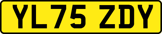 YL75ZDY