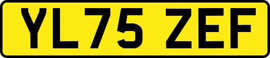 YL75ZEF