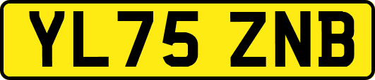 YL75ZNB
