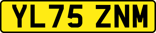 YL75ZNM