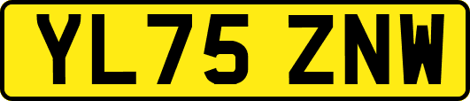 YL75ZNW