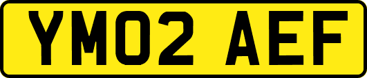 YM02AEF