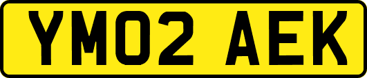 YM02AEK