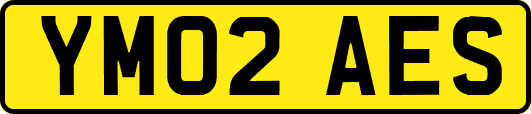 YM02AES