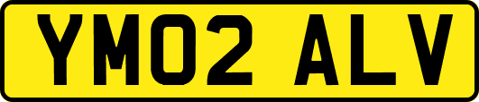 YM02ALV