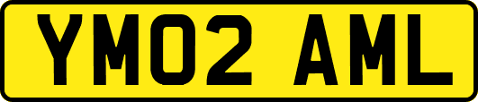 YM02AML