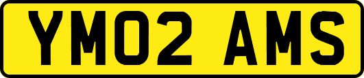 YM02AMS