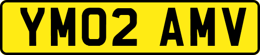 YM02AMV