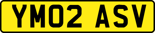 YM02ASV
