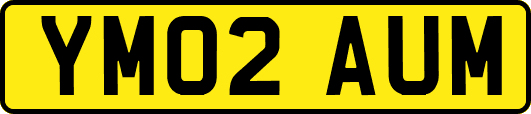 YM02AUM