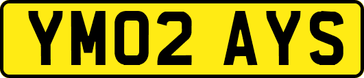 YM02AYS