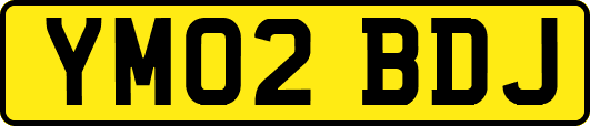 YM02BDJ
