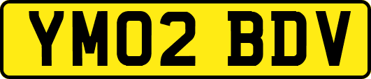 YM02BDV