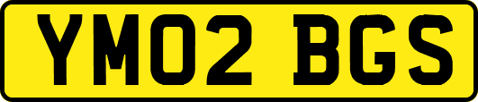 YM02BGS