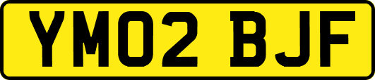 YM02BJF