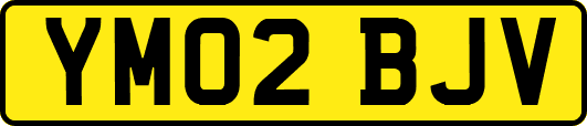 YM02BJV