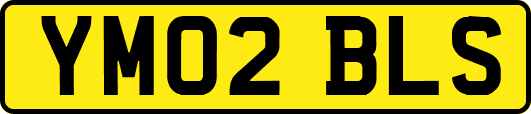 YM02BLS