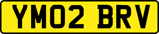 YM02BRV