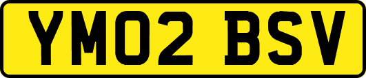 YM02BSV
