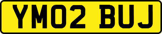 YM02BUJ