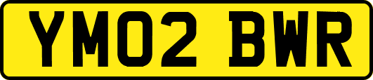 YM02BWR