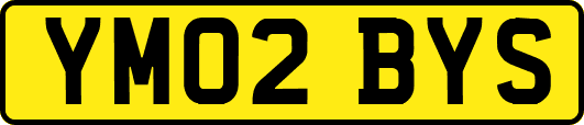 YM02BYS