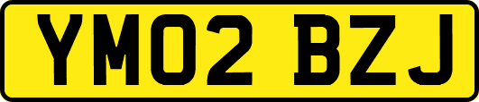 YM02BZJ