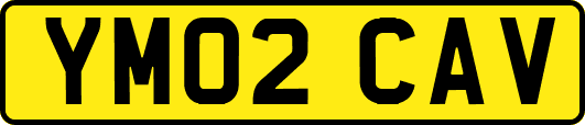 YM02CAV