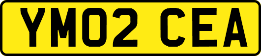 YM02CEA