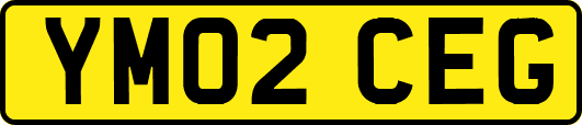 YM02CEG