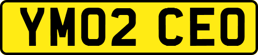 YM02CEO