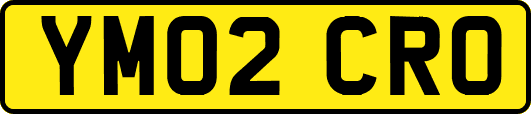 YM02CRO