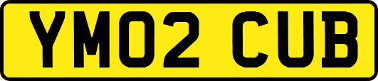 YM02CUB