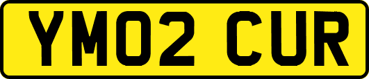 YM02CUR