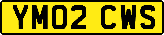 YM02CWS