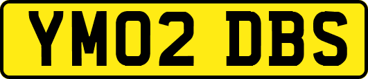 YM02DBS