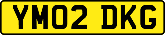 YM02DKG