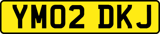 YM02DKJ