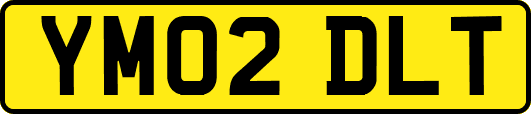 YM02DLT