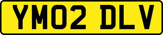 YM02DLV