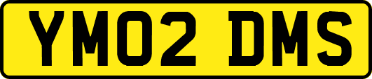 YM02DMS