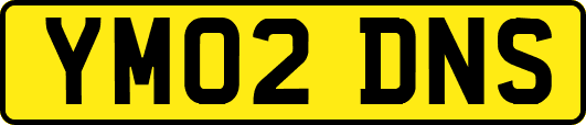 YM02DNS