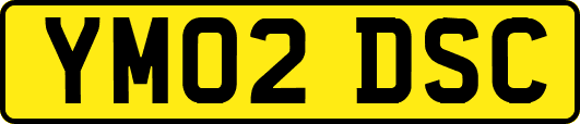 YM02DSC