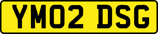 YM02DSG