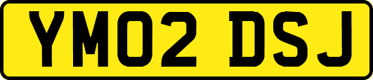 YM02DSJ